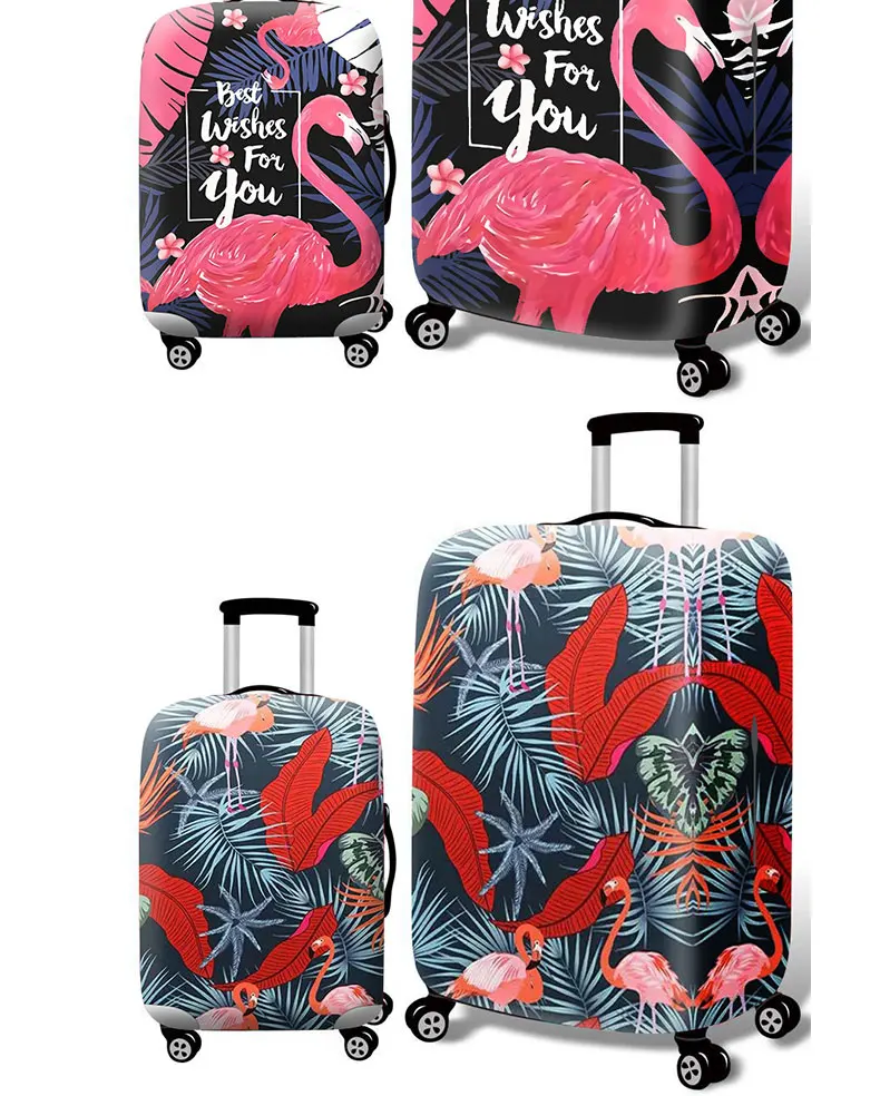 8722599669_178549433_09