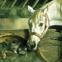 Белая лошадь в Ma Fang DIY живопись по номерам 24 цвета пигментная щетка Живопись Искусство Ручная роспись креативная Цифровая живопись маслом