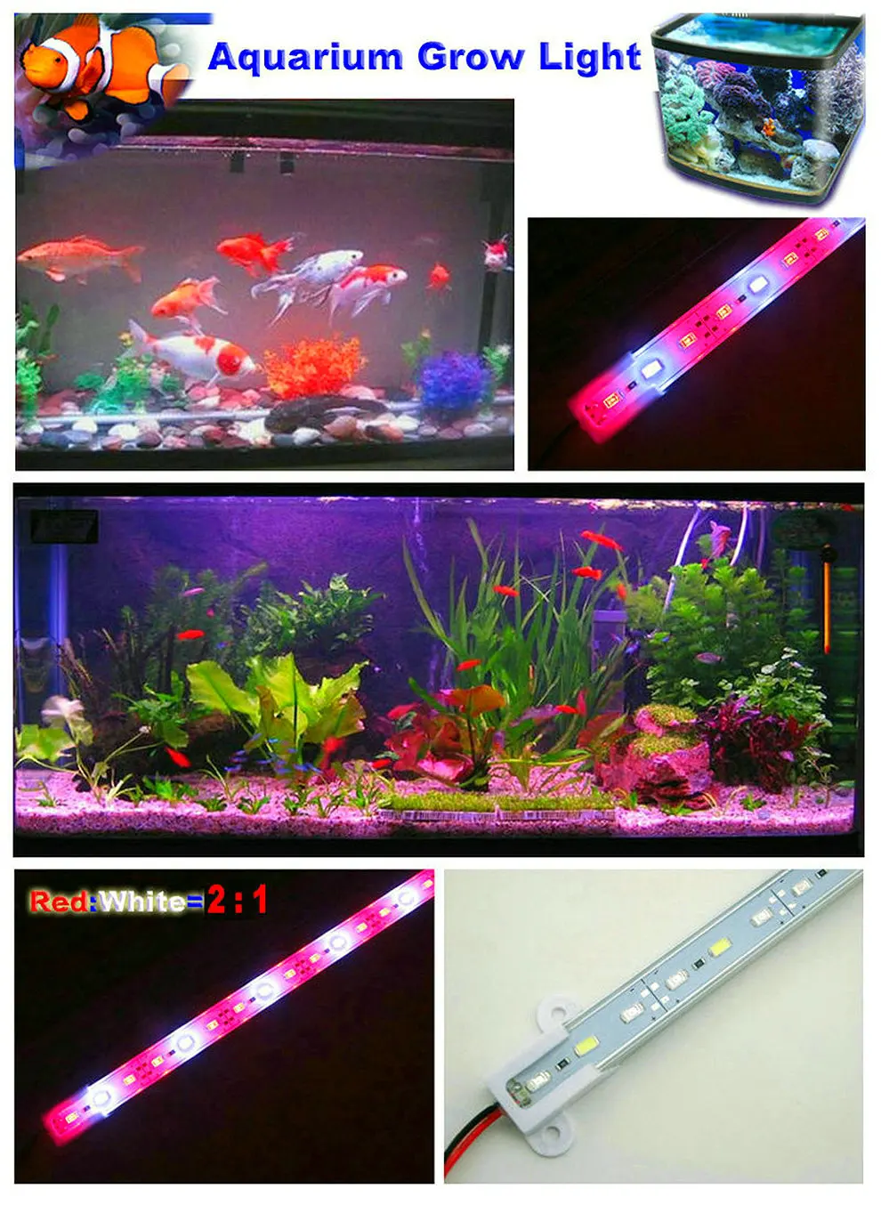 LED Grow Light DC12V (19)