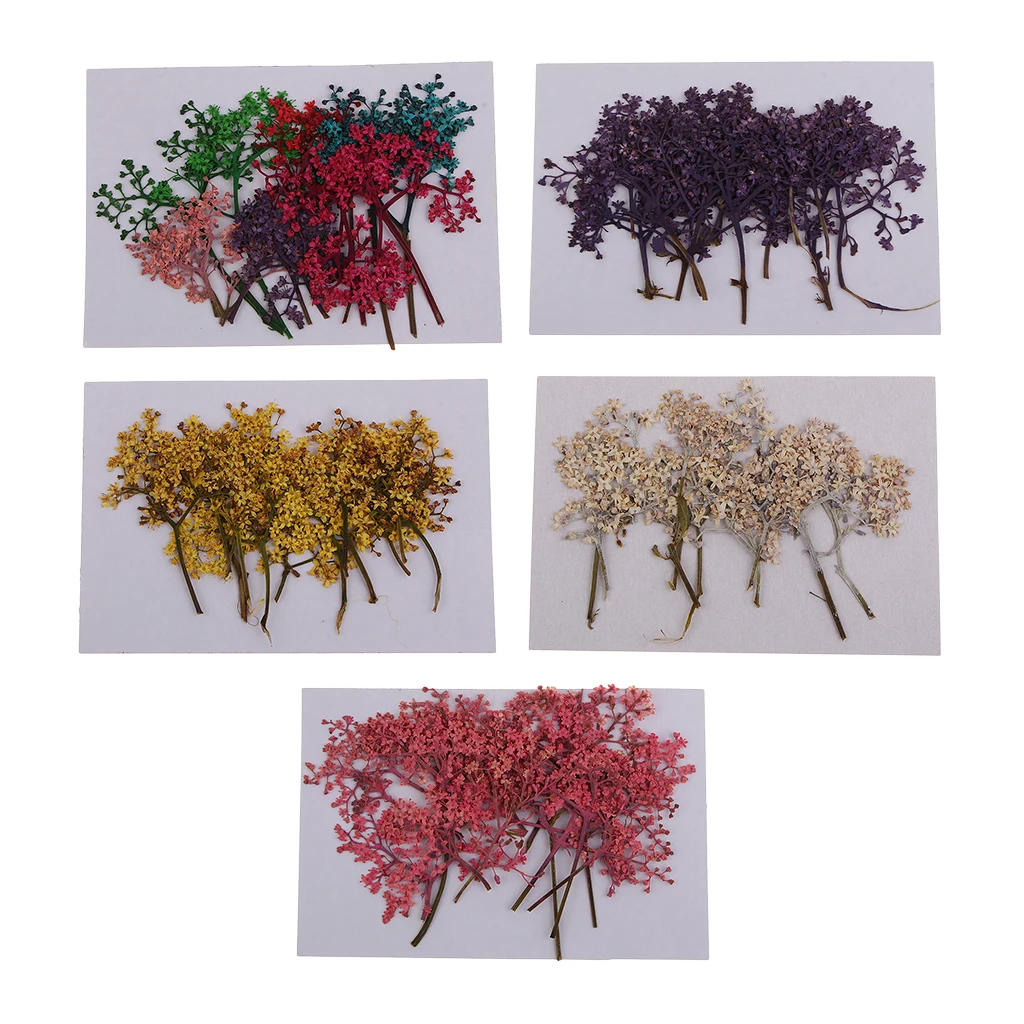 12 Pieces Natural Pressed Real Dried Flower for Soap Candle Making Decor Resin Casting DIY Ornament Craft