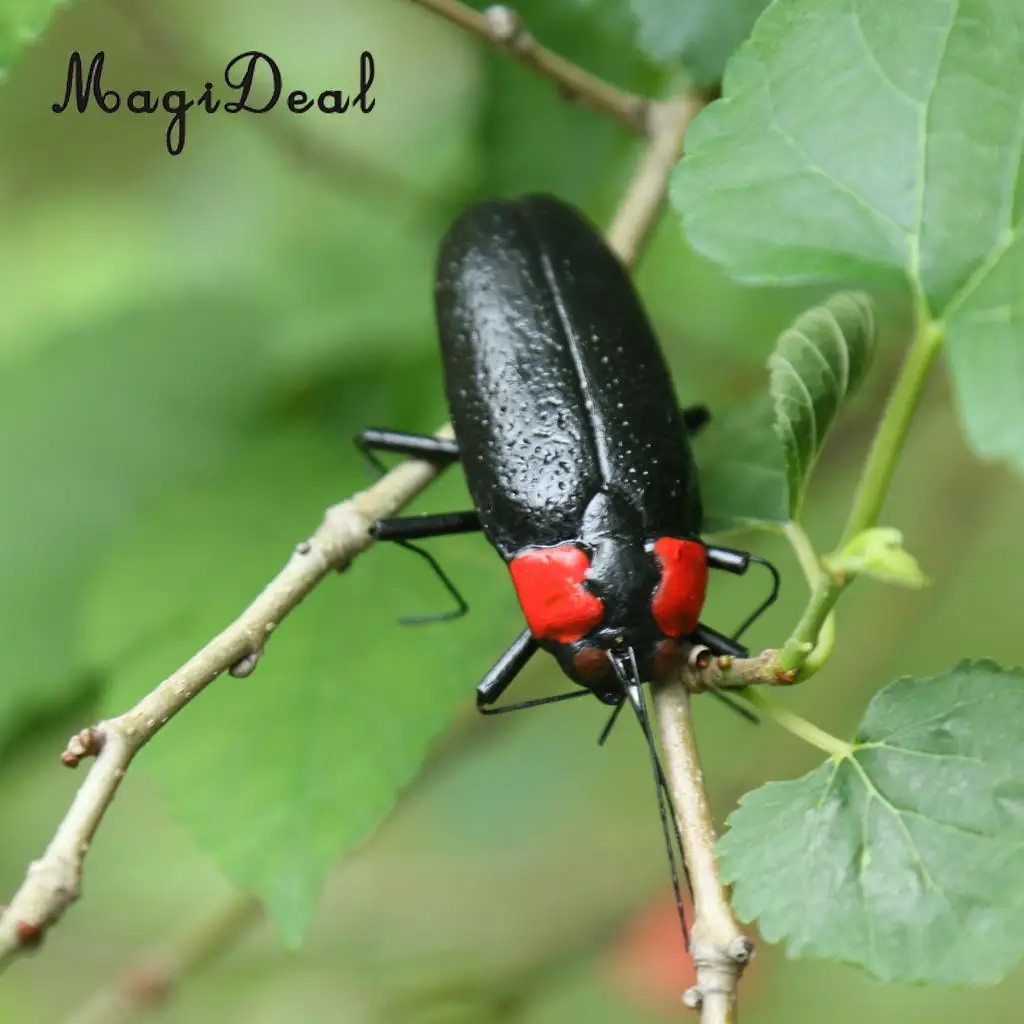 MagiDeal Artificial Lifelike Insects Model Cicada Figurines Home Garden Art Craft Decor DIY Tree Decor Kids Play Toy 