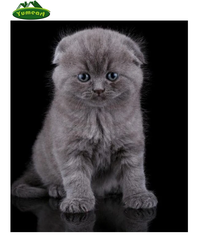 

100% DIY 5D Diamond Mosaic Gray Cats Handmade Diamond Painting Cross Stitch Kits Diamond Embroidery Patterns Arts Crafts