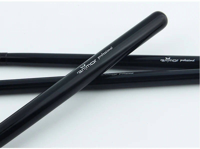makeup brushes (12)