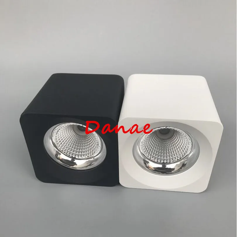 Danae 10