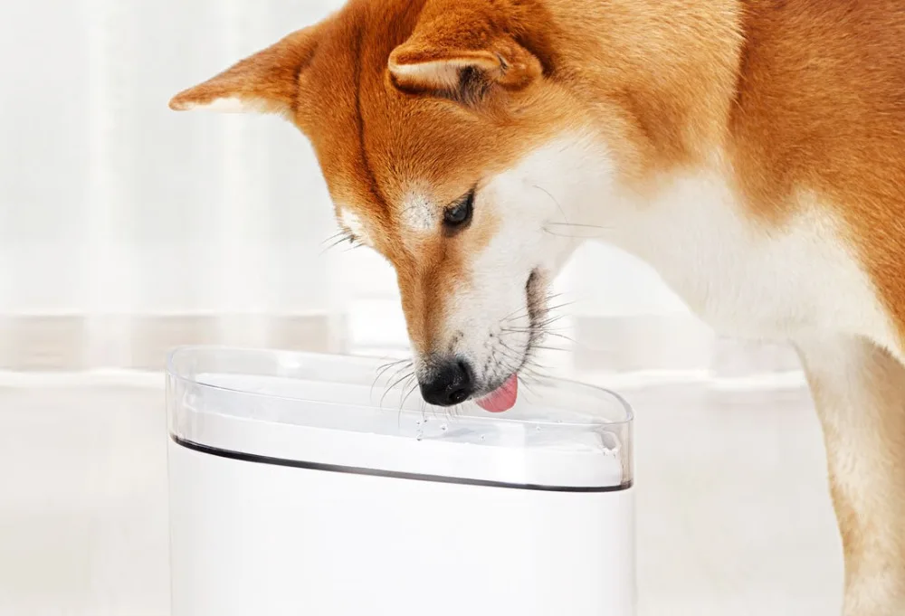 Xiaomi Youpin Pet диспенсер для воды для собак и кошек чистая струящаяся вода маленький питомец диспенсер для воды четырехкратная фильтрация