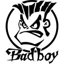 VINYL DECAL STICKER FOR CAR FROM OUR ATTIRUDE RANGE 2 X OPPOSING BAD BOY FINGER