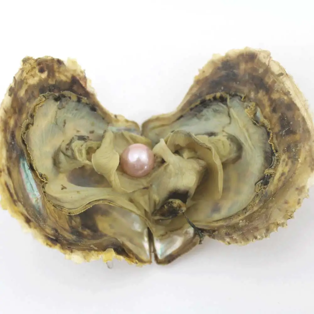 Жемчуг Эдисона Oyster 9-12 мм натуральный жемчуг в соленой воде свободные большие бусины украшения в вакуумной упаковке для подарка ювелирные изделия DIY EE2022 - Цвет: H15