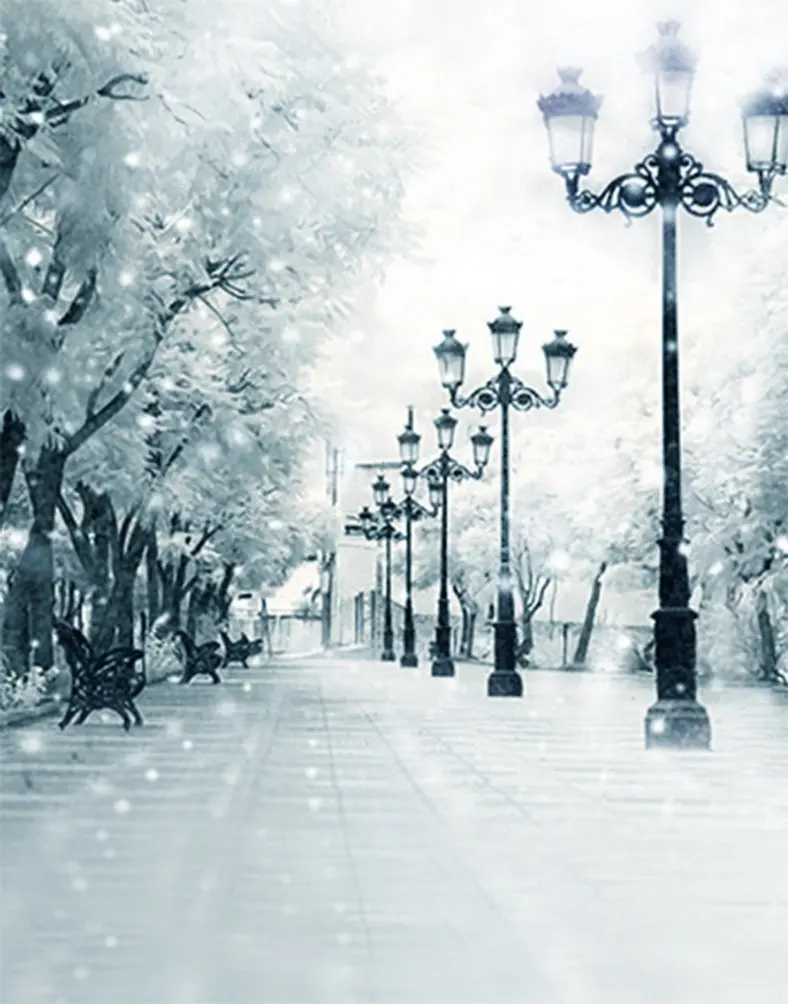 

5x7ft Winter Snow Street Photography Backdrops Photo Props Studio Background