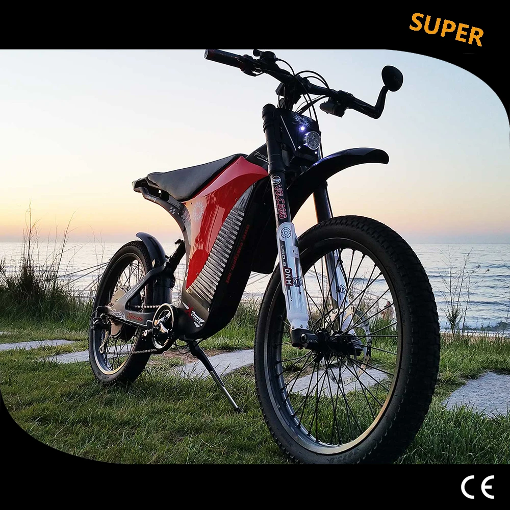 Luxury Price for  Electric Motorcycle off-road electric mountain bike carbon fiber frame EBIKE electric bicycle mount