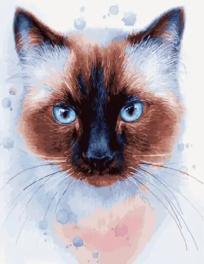 Blue-eyed cat DIY Framed Oil Painting By Numbers Animal Pictures Canvas Painting For Living Room Wall Art Home Decor