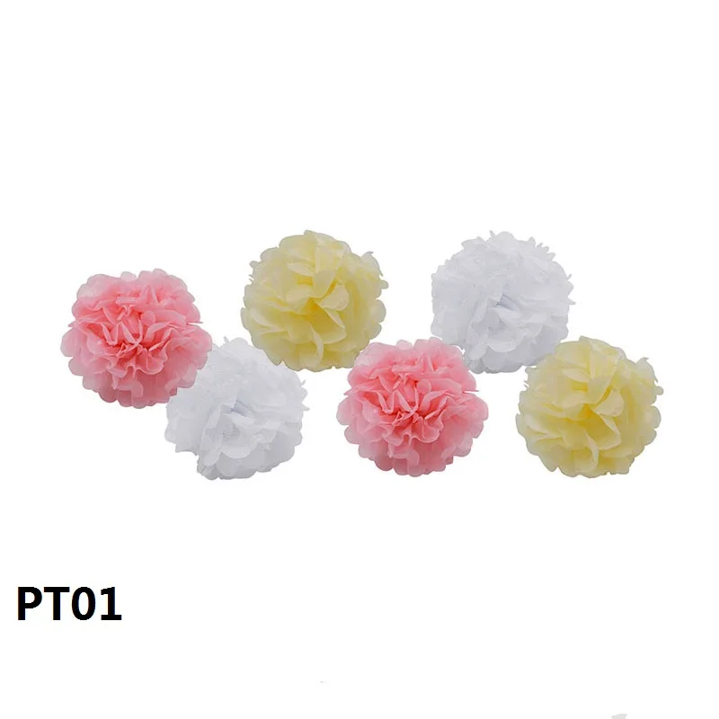 PT01