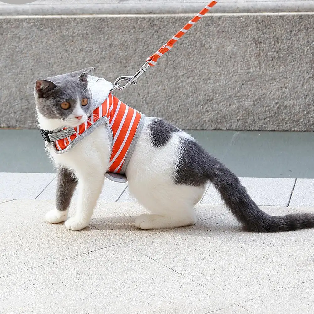 Comfortable Breathable Cat Harness And Leash Set Reflective Kitten