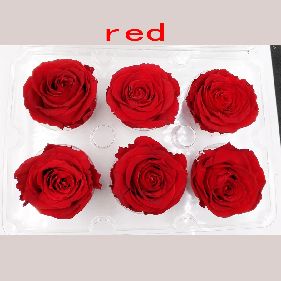 6 шт./компл., 6-7 см, сохраненная Роза, бесцветные цветы, импорт из страны, подарок на день Святого Валентина, высокое качество, украшения для дома, свадьбы - Цвет: red