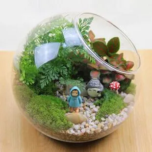 

Betty Store Diameter = 20CM Side Open Glass Ball Terrarium Landscape Container Fashion Home Decorative Glass Vase Wedding Props