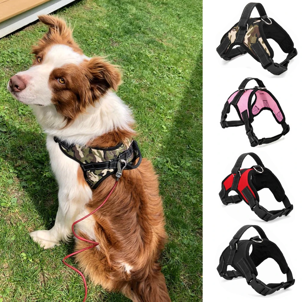 Buy Pet Dogs Harness Collars high quality Vest Dog