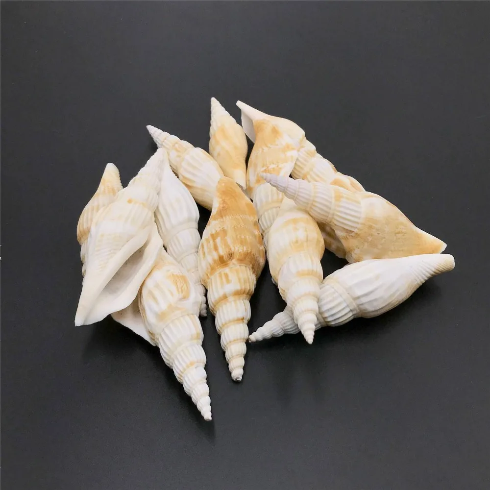5 Pieces 73*25 mm Natural Point Small Shell Loose Beach Conch Ornaments Crafts DIY Woman Jewelry Necklace Pendant | Украшения и
