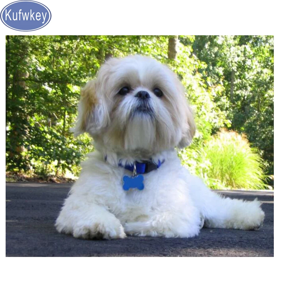 

Kufwkey,5d diy diamond painting full Square drill,shih tzu picture,mosaic photo, rhinestones dog cute pet painting 3d Embroidery