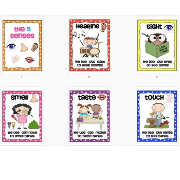 

6Pcs/Set Kid all about myself English Five Sense Poster Classroom Wall Stickers Decoration Early Education A4 Plastic Big Cards