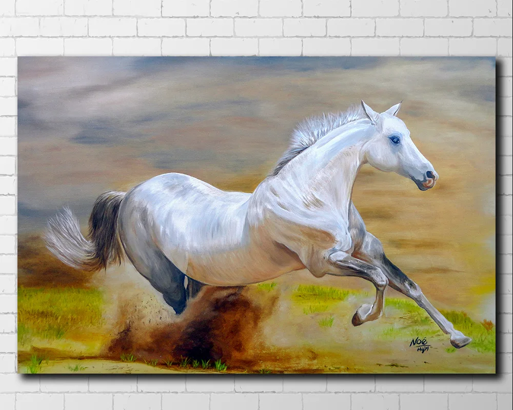 00 wild-horse-colour-in-your-life 105 1