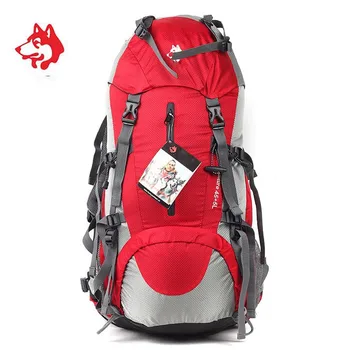 

Famous Brand 50L Outdoor Rucksack Sports Camping Hiking Travel Backpack Tourist Bags For Climbing Mountain Backpacks Bag