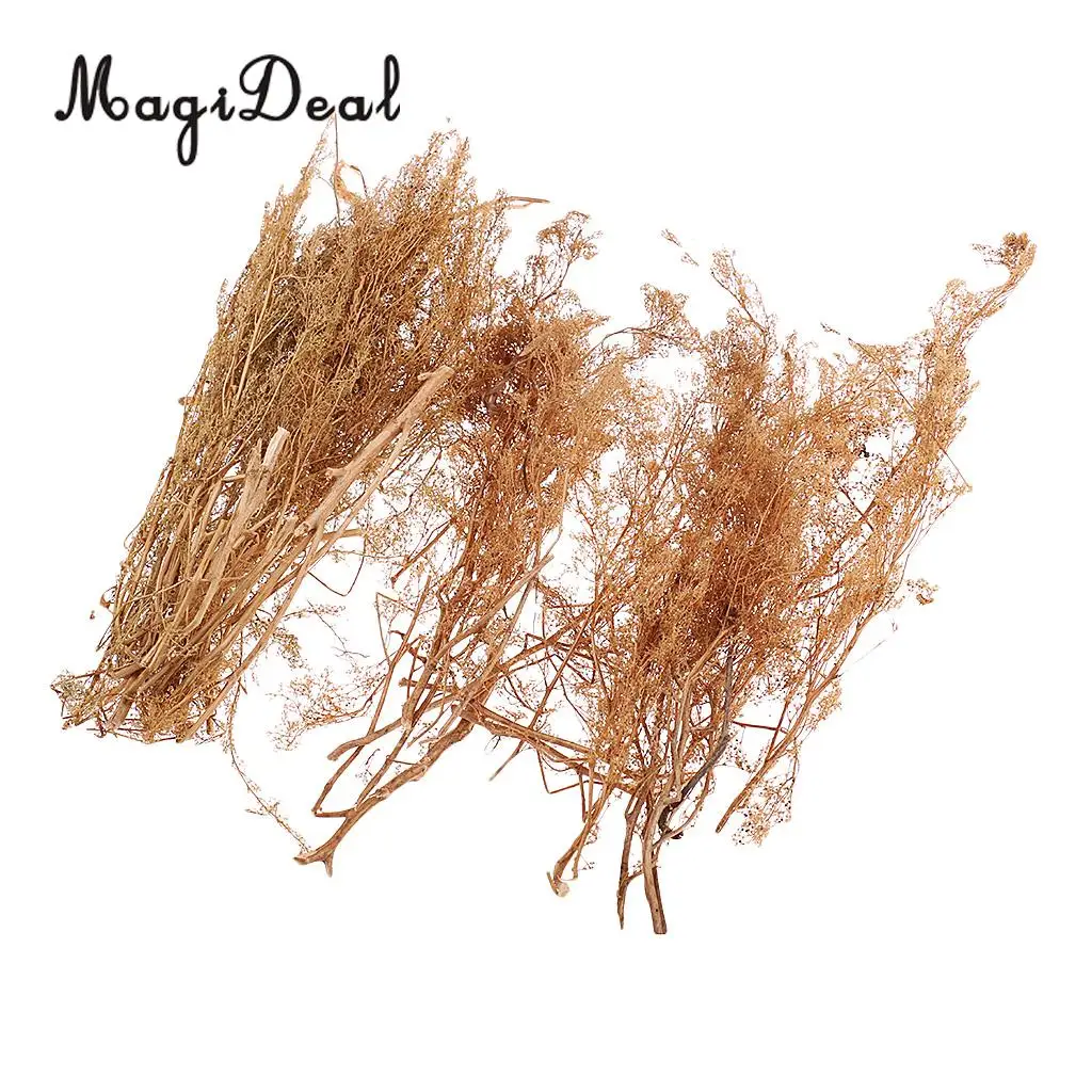MagiDeal 1Pack Layout Dry Natural Quinoa Model DIY Tree Landscape for RR Train Diorama Train Railway Railroad Scene Scenery 25cm