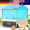 Incubateur automatique à 4 œufs 15W US | Contrôle de la température, numérique poulet, canard, couveuse, couveuse, couveuse, incubateur d'œufs ► Photo 1/6