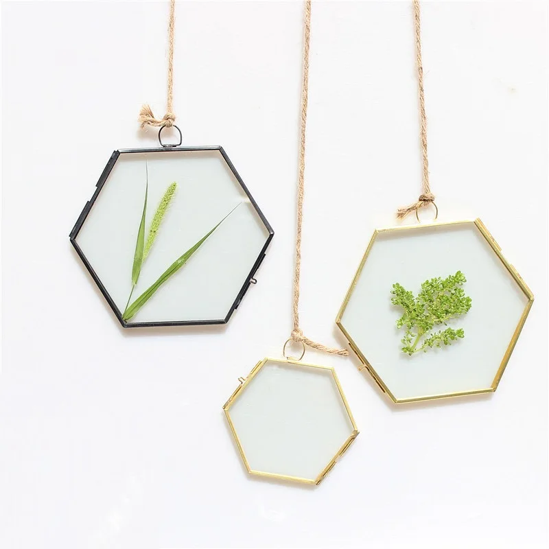 Modern Hanging Hexagon Metal&Glass Plant Specimen Double Sided Glass