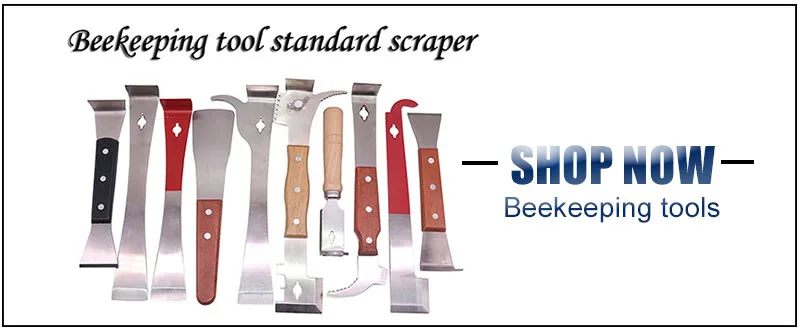 HTB1hb2UaznuK1RkSmFPq6AuzFXae