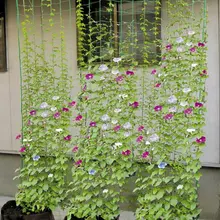 Nylon Net Netting-Support-Net Flower-Vine Grow-Net-Holder Climbing-Net Garden-Netting