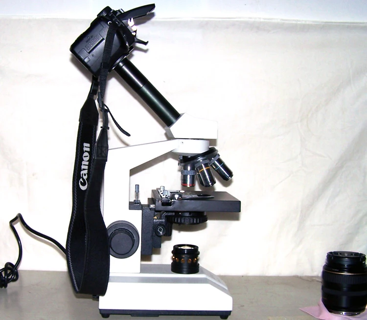 Nikon SLR/DSLR микроскоп Камера адаптер 2X SLR DSLR 23 2 мм для AmScope бинокулярного микроскопа