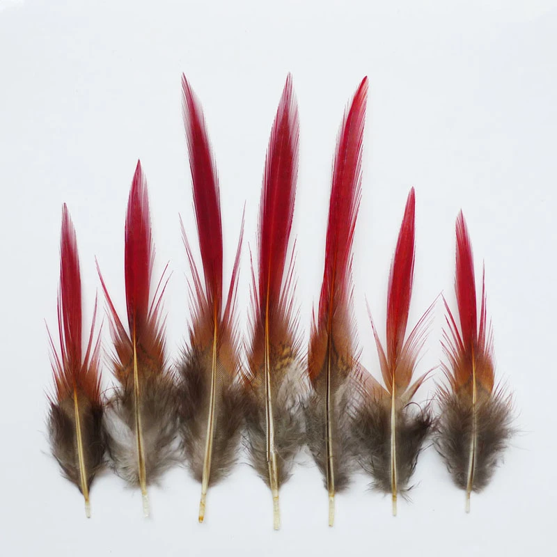samba gouden
