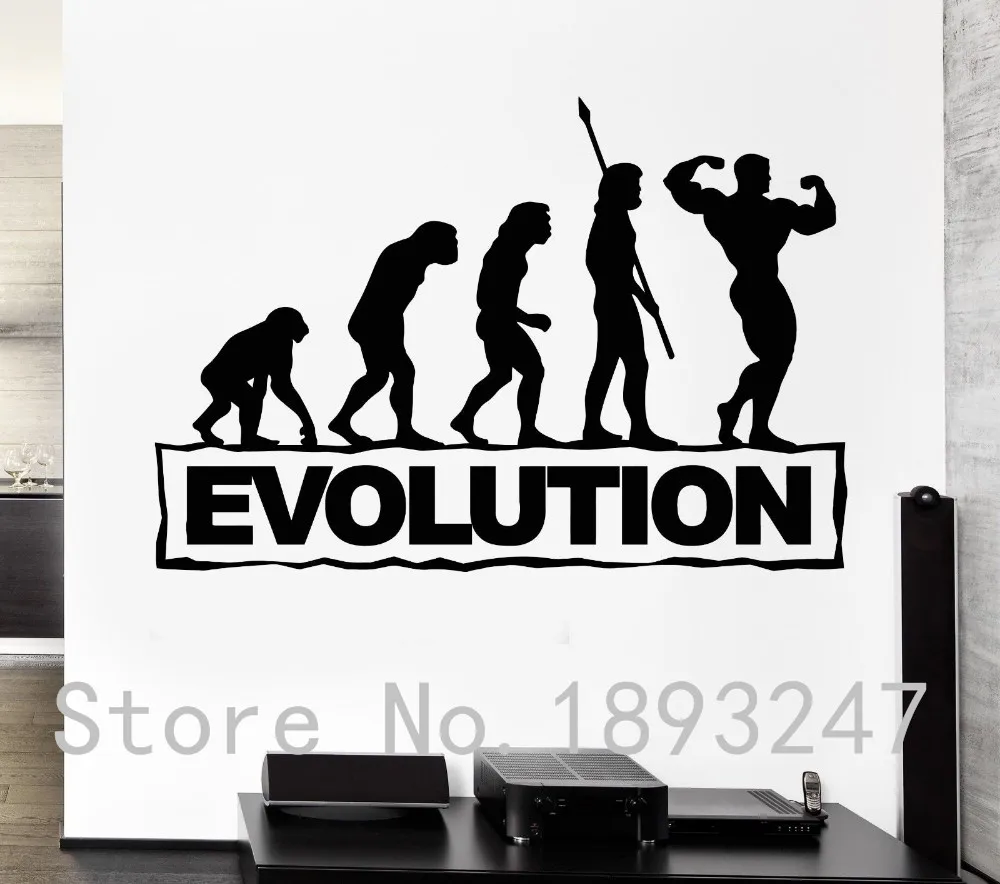 

Gym Sport Man Bodybuilding Fitness Evolution Removble Vinyl Wall Sticker Fitness Centre Wall Decal Removeable Bedroom Decor