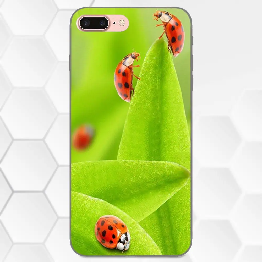 Для Apple iPhone 4 4S 5 5S SE 6 6S 7 8 Plus X XS Max XR мягкий силиконовый чехол из ТПУ с рисунком милой