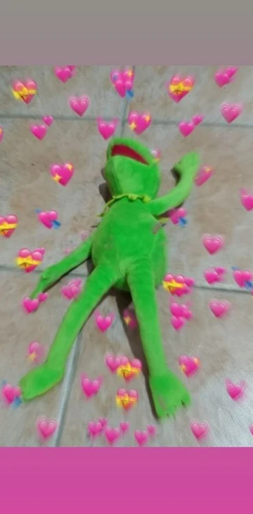 Kermit frog