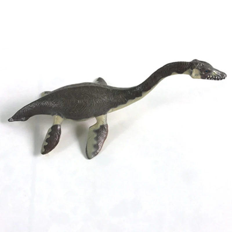 41
