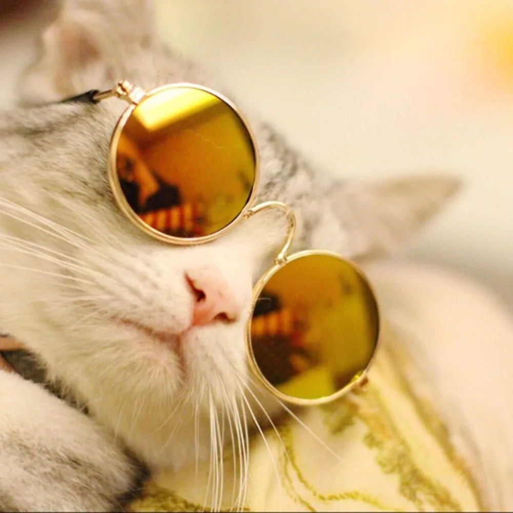 Модные Дизайн мелких животных Собаки Кошки очки солнцезащитные очки Универсальный глаз Защитные лето домашнее животное фото реквизит