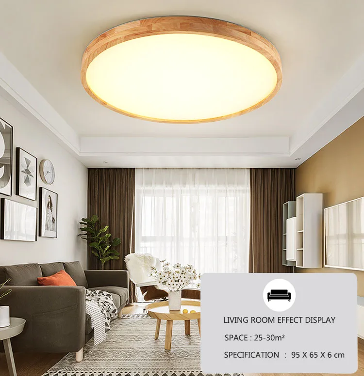 led ceilging light 2