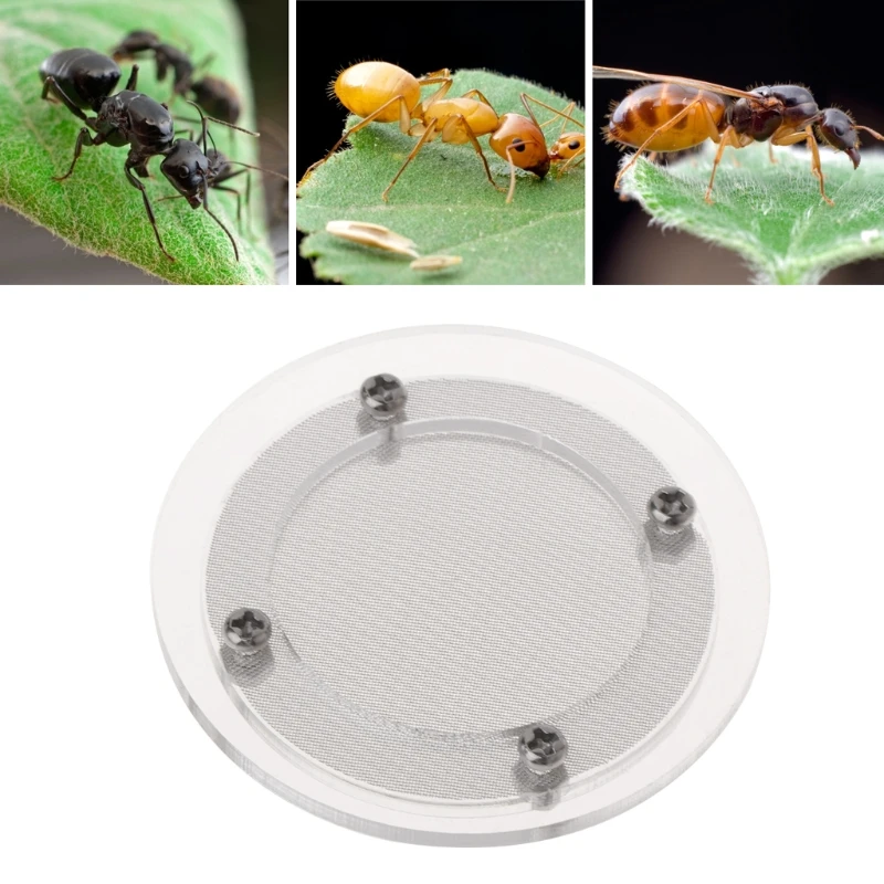 

Ant Farm Nest Cover Cap Prevent Escape Acrylic Round Breathable Stainless Steel