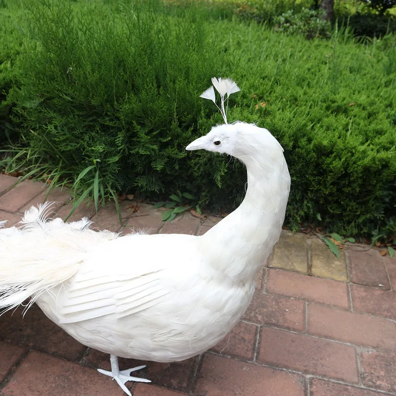 Пены и перьями Искусственные Птицы большие 150 см белый Peafowls опору, перья павлина модели, домашний сад активности украшения w0520