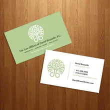 250 г бумажная визитная карточка, с матовой отделкой, под прямым углом, 4C/4C полноцветный