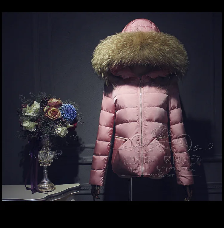 Зимняя куртка, женский пуховик, натуральный мех, с капюшоном, пуховик, женская короткая верхняя одежда, утолщенная, 90% утиный пух, пальто, парка - Цвет: Розовый