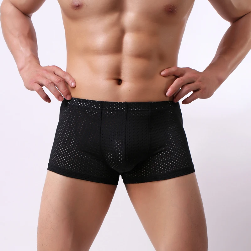 

Brand New Underwear Boxer Men Breathable Mesh Men's Boxers Male Underpants Sexy Panties Nylon Mens Bodysuit Trunks Pant