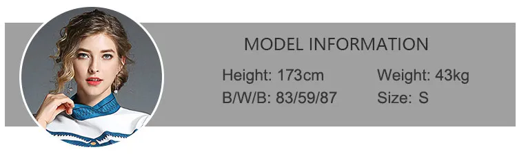 model-information