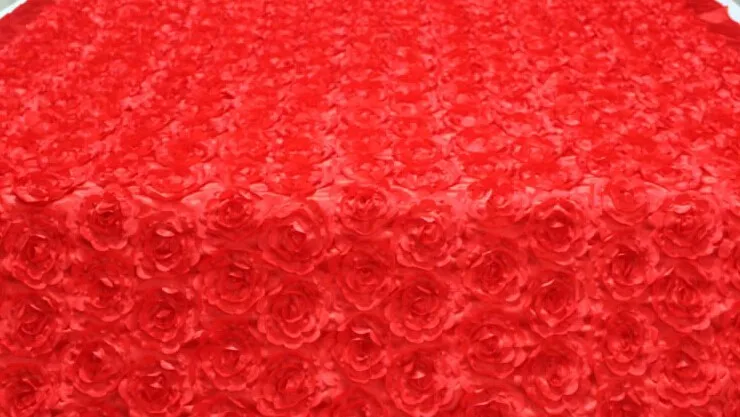 HTB1FN8HSFXXXXbtXFXXq6xXFXXXF