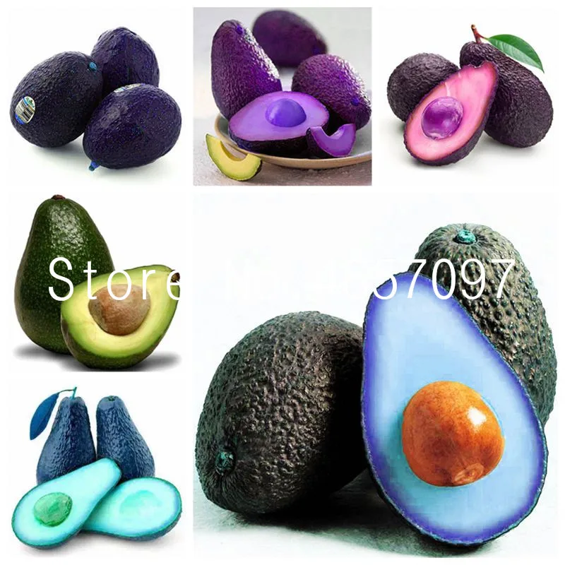

2pcs mixed color Avocado Bonsai Delicious Fruit Tree Easy Grow For Home Garden Sweet Organic Fruta Vegetable Pot Courtyard Plant