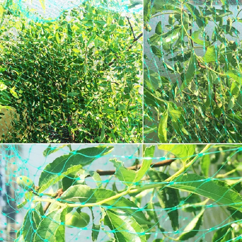 8928028053_762737415