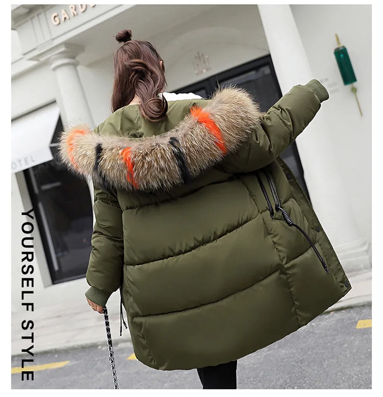 9104229792_1070303793