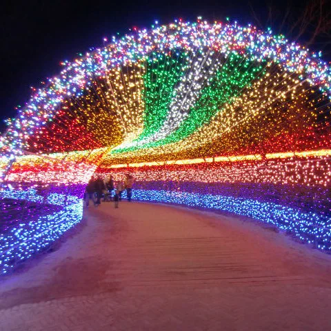 Гирлянда светодиодная водонепроницаемая 50 м 500 светодиодов|light christmas|fairy lightsstring