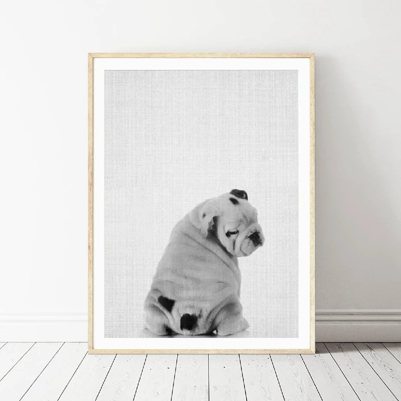 

English Bulldog Canvas Art Prints and Poster , Fun Pet Dog Butt Photography Canvas Painting Pictures Nursery Home Wall Art Decor