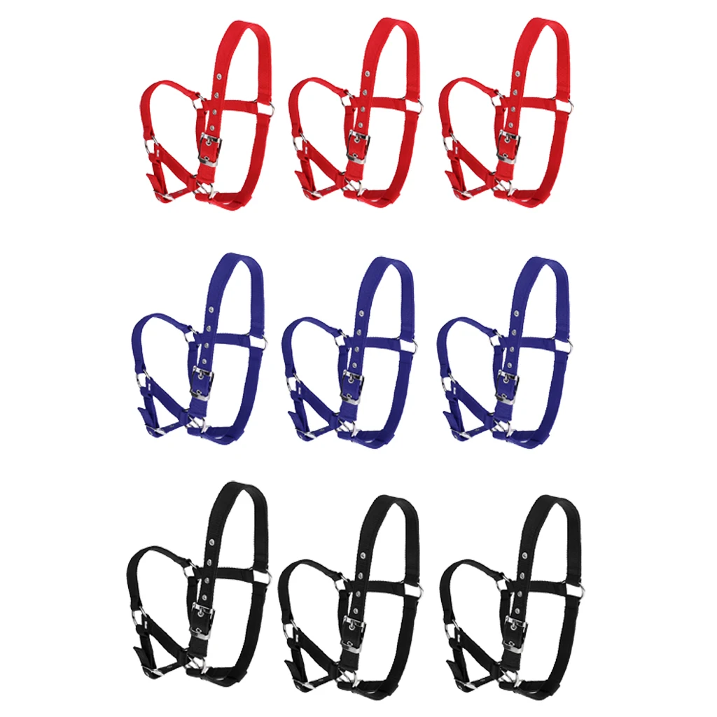 Adjustable Webbing Equestrian Horse Halter Horse Riding Wear Adjustable Horse Halter Outdoor Racing Woven Belts Bridle